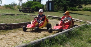 voiture electrique kart mini-devalkart